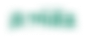 프랜차이즈