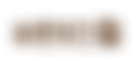 프랜차이즈
